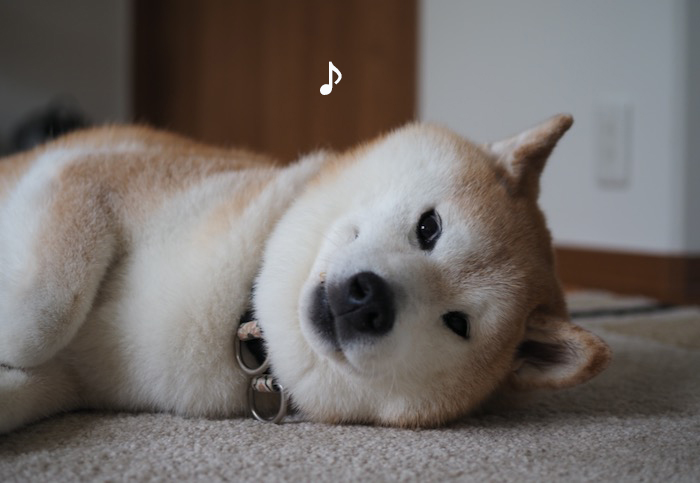 22日夕ブログ５