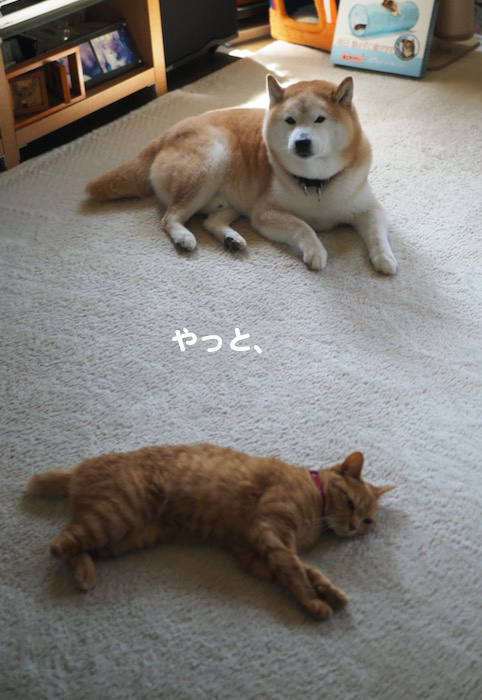 16日ブログ２