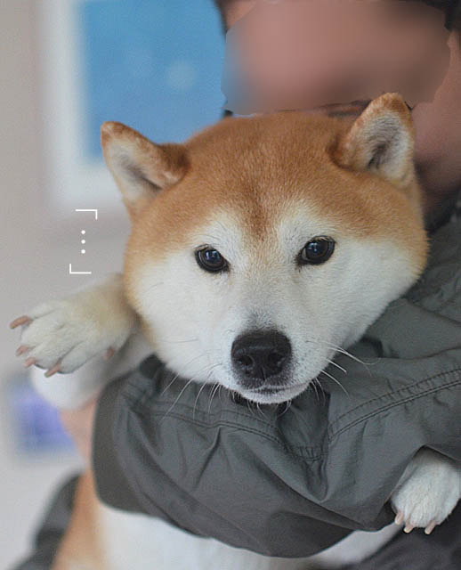 10日ブログ4