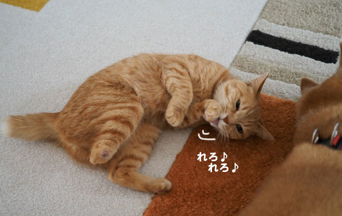 6日ブログ２
