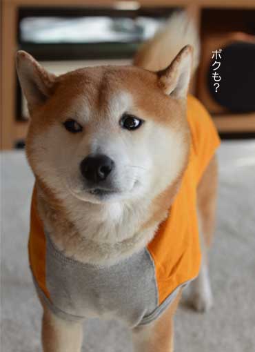 26日ブログ7.jpg