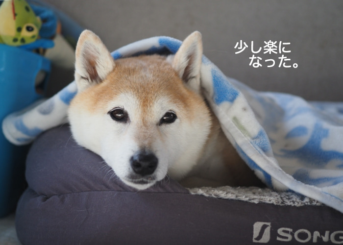 23日夜ブログ９