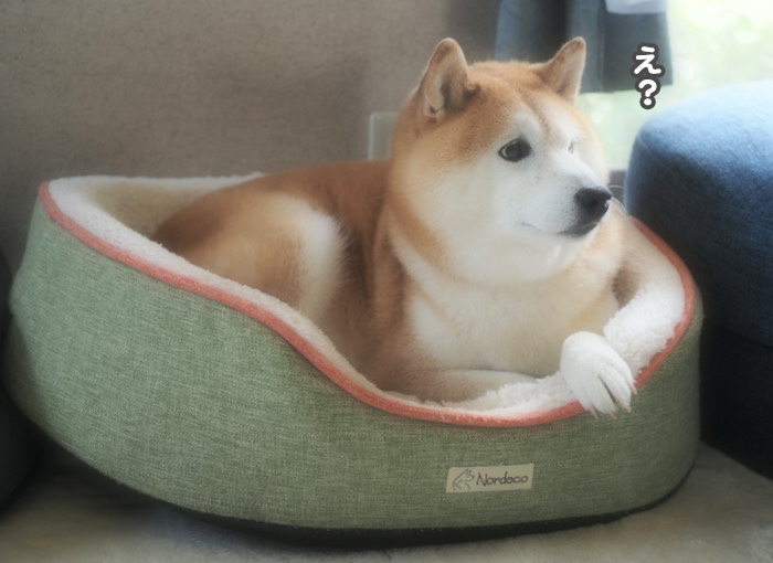 27日ブログ２