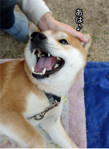 13日ブログ11.jpg