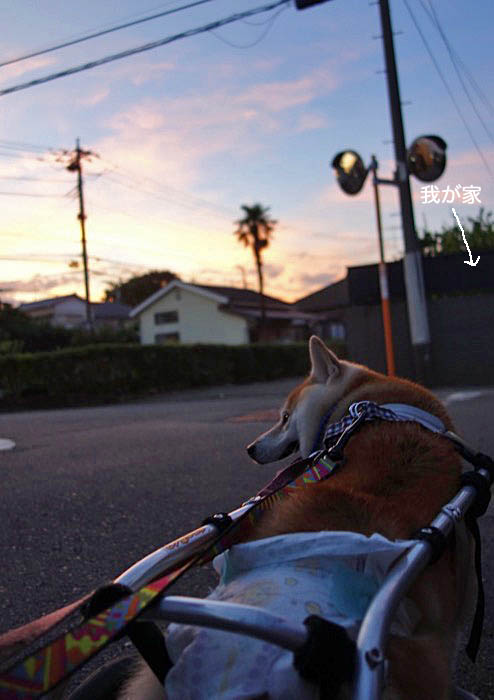13日ブログ４