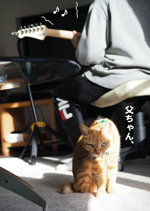 22日夕ブログ４