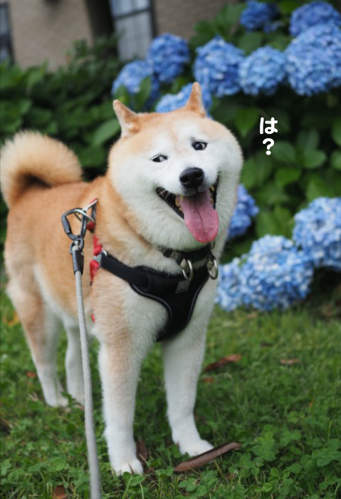 25日夕ブログ３