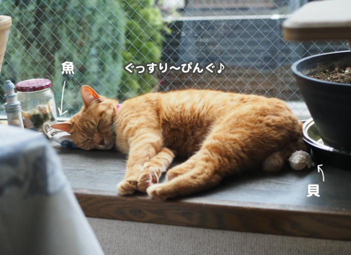 25日ブログ２