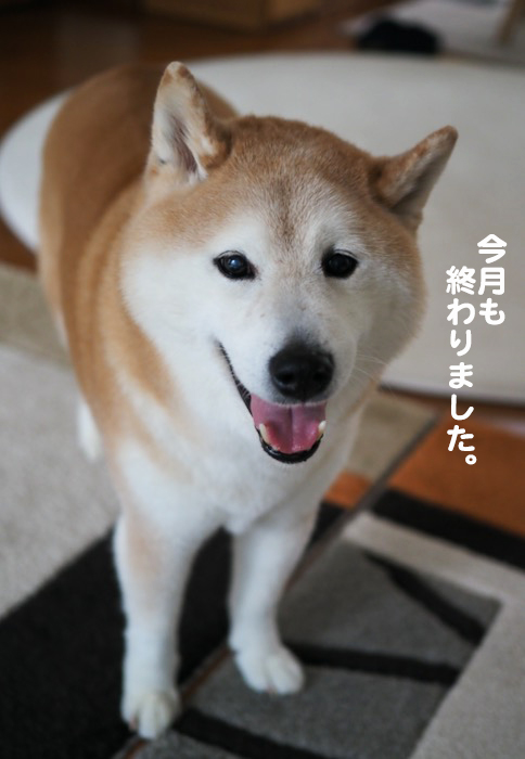7日ブログ6