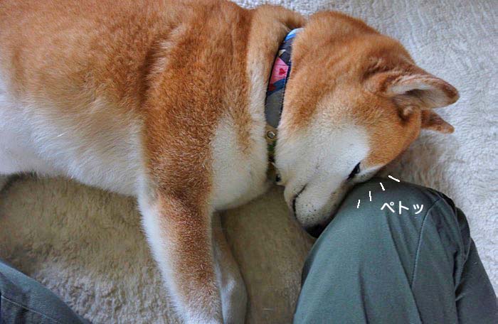 28日夕ブログ２