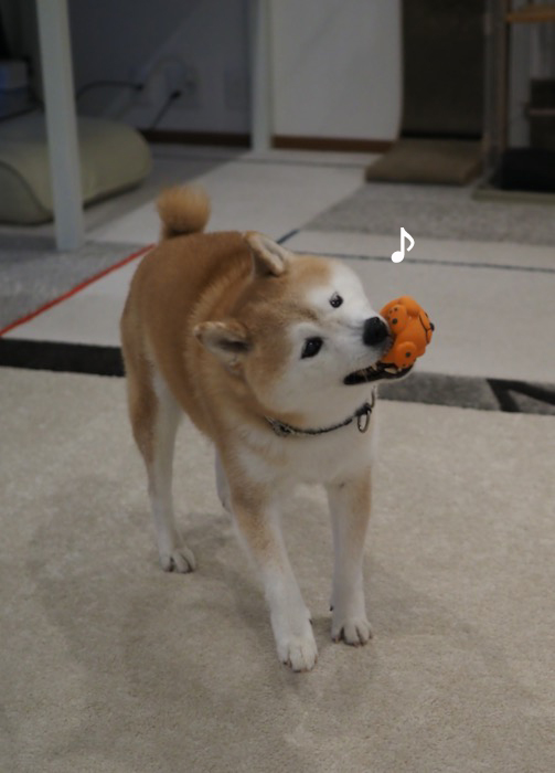 15日夜ブログ５