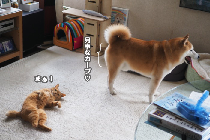 4日夕ブログ10