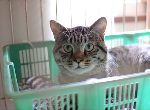 18日ブログ4.jpg