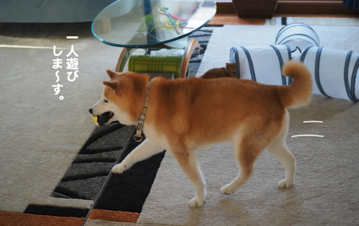 2日夕ブログ５