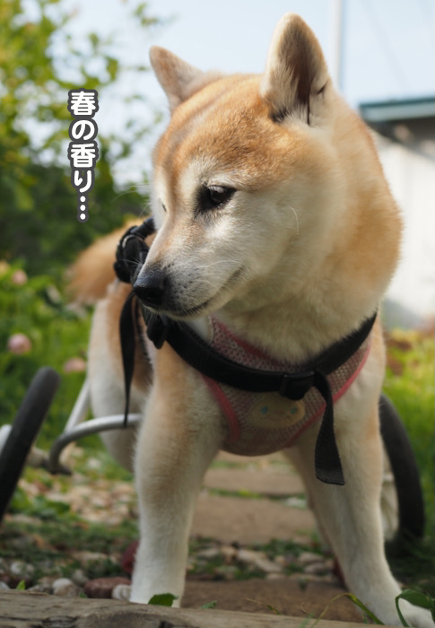 26日夜ブログ５