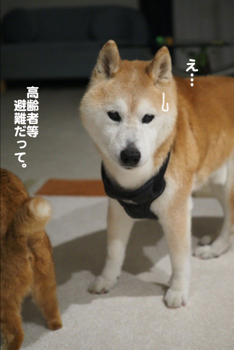 2日夜ブログ４