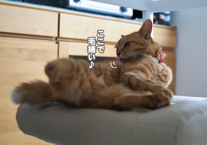9日夕ブログ３