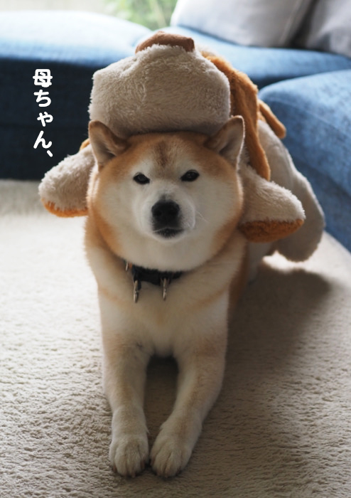 29日夜ブログ3