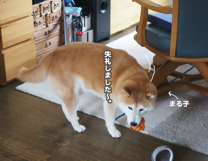 15日夕ブログ８