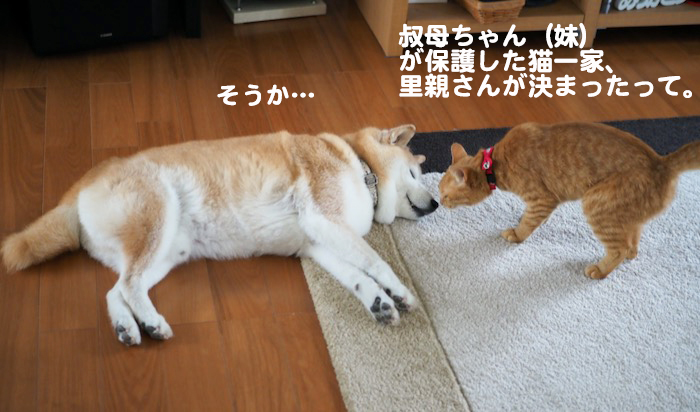 16日ブログ２