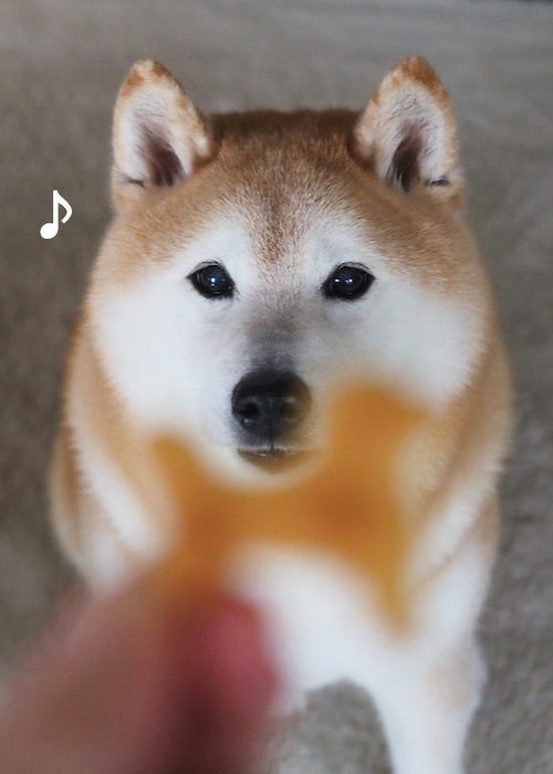 13日夕ブログ４