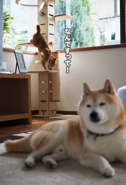 21日ブログ５