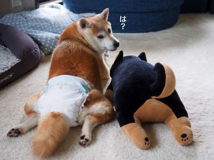 22日夕ブログ８