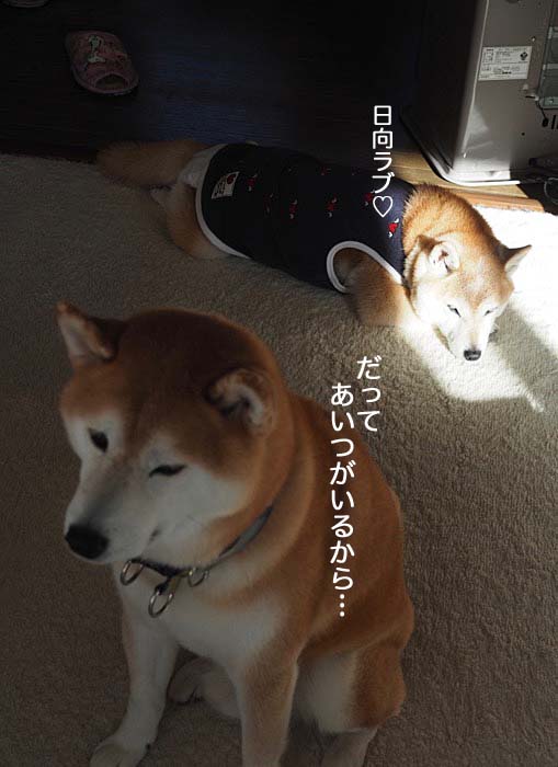 1日ブログ３