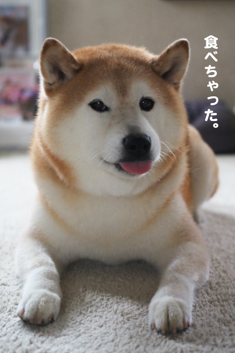 19日夕ブログ９