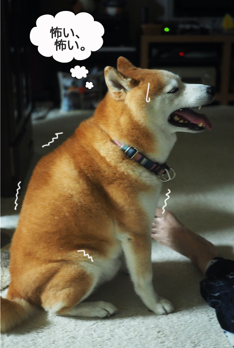 1日夜ブログ６