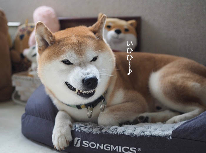 15日夜ブログ5