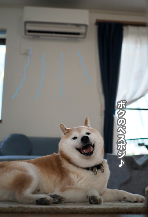 29日夕ブログ５
