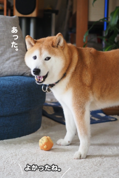 23日夕ブログ７