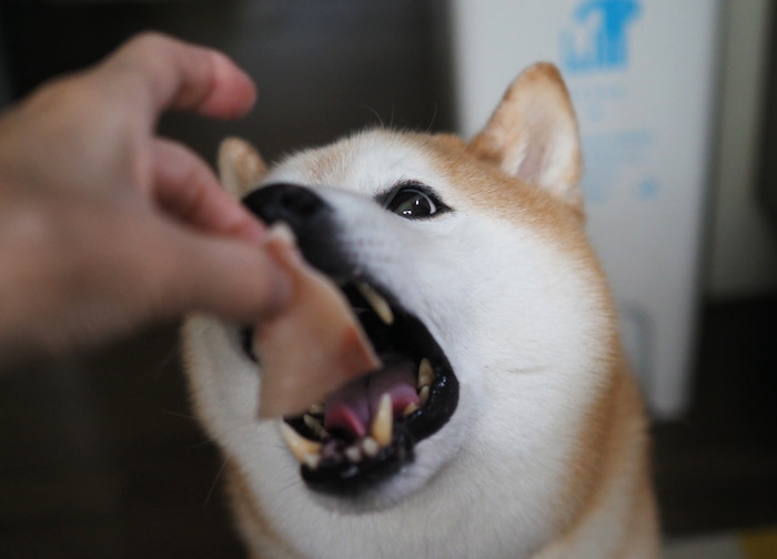 18日夜ブログ９