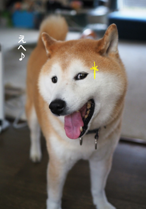 6日夕ブログ２