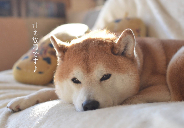 18日ブログ3