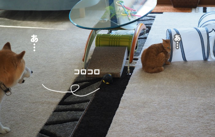 2日夕ブログ６