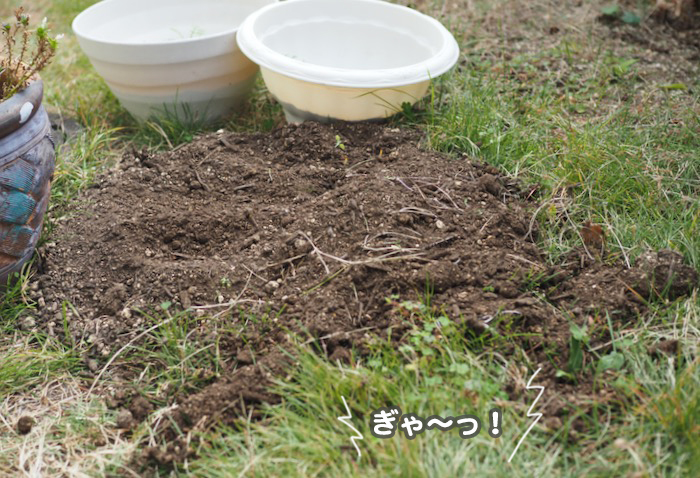 29日ブログ２