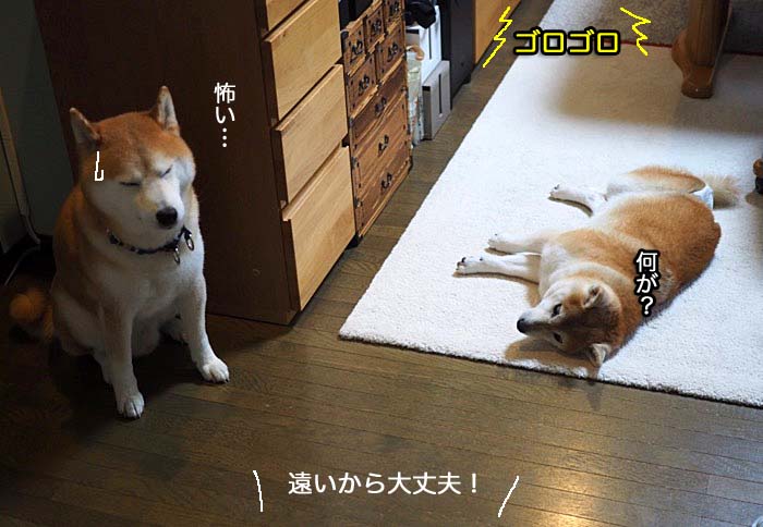 10日夜ブログ３