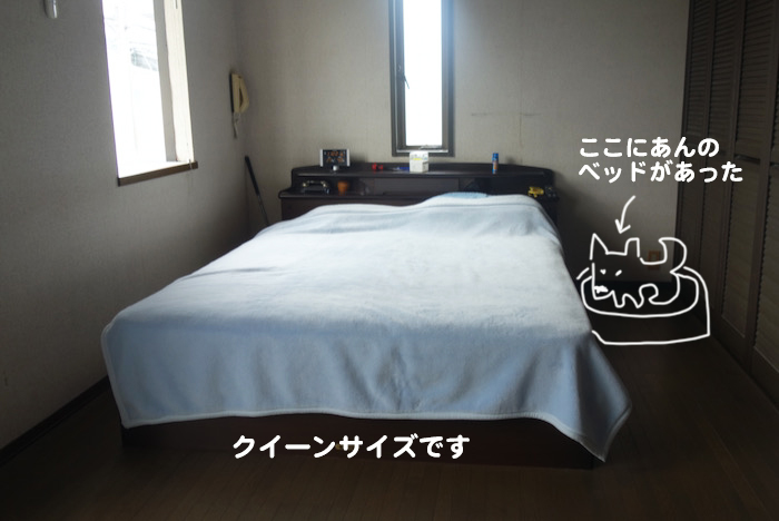 16日夕ブログ2