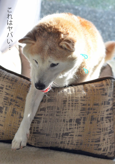 26日ブログ6