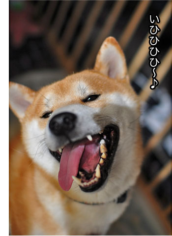 10日ブログ12.jpg