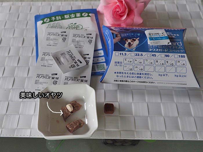 11日ブログ４