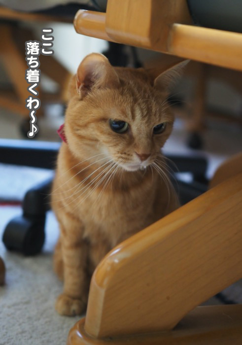 28日ブログ１