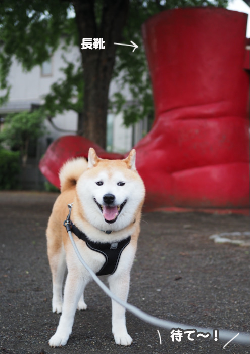 16日夜ブログ３