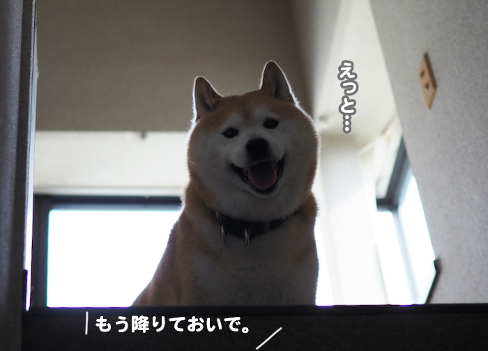 20日夕ブログ２