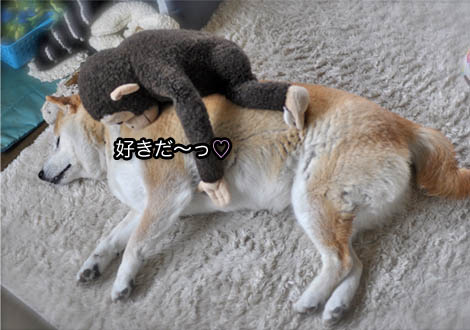 27日ブログ11.jpg