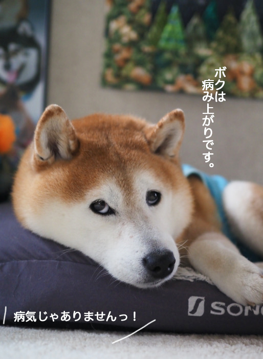14日ブログ４