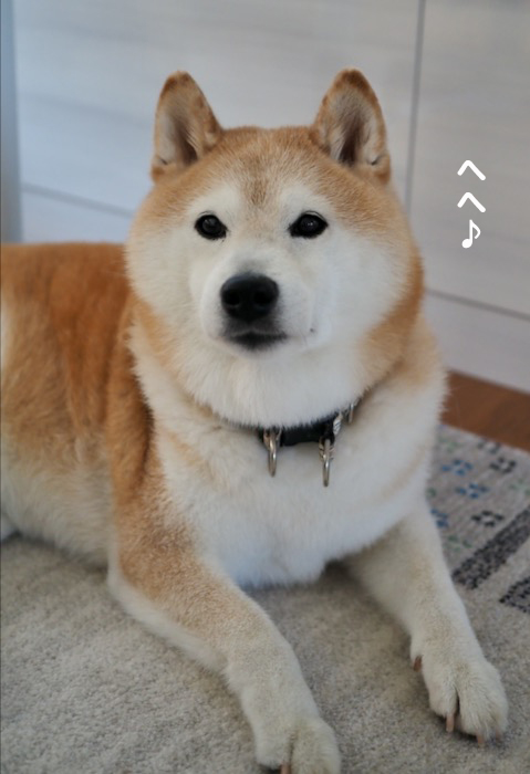 26日のブログ１