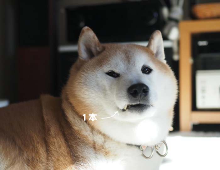 20日夕ブログ５